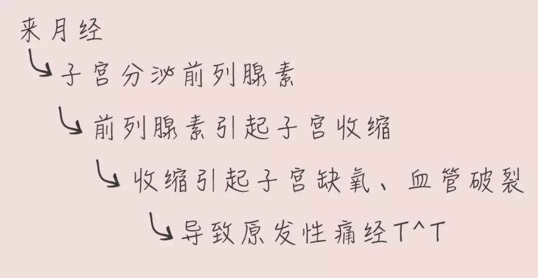 你真的认识海参吗,你真的认识吕秀才吗