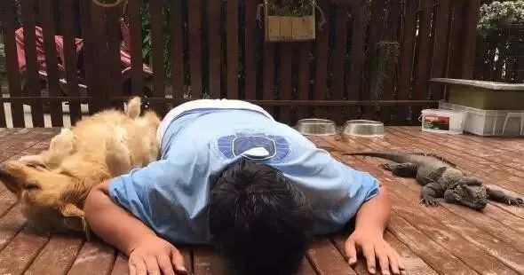 倒春寒零度以下新芽会冻吗,倒春寒很伤人尤其是这6个部位