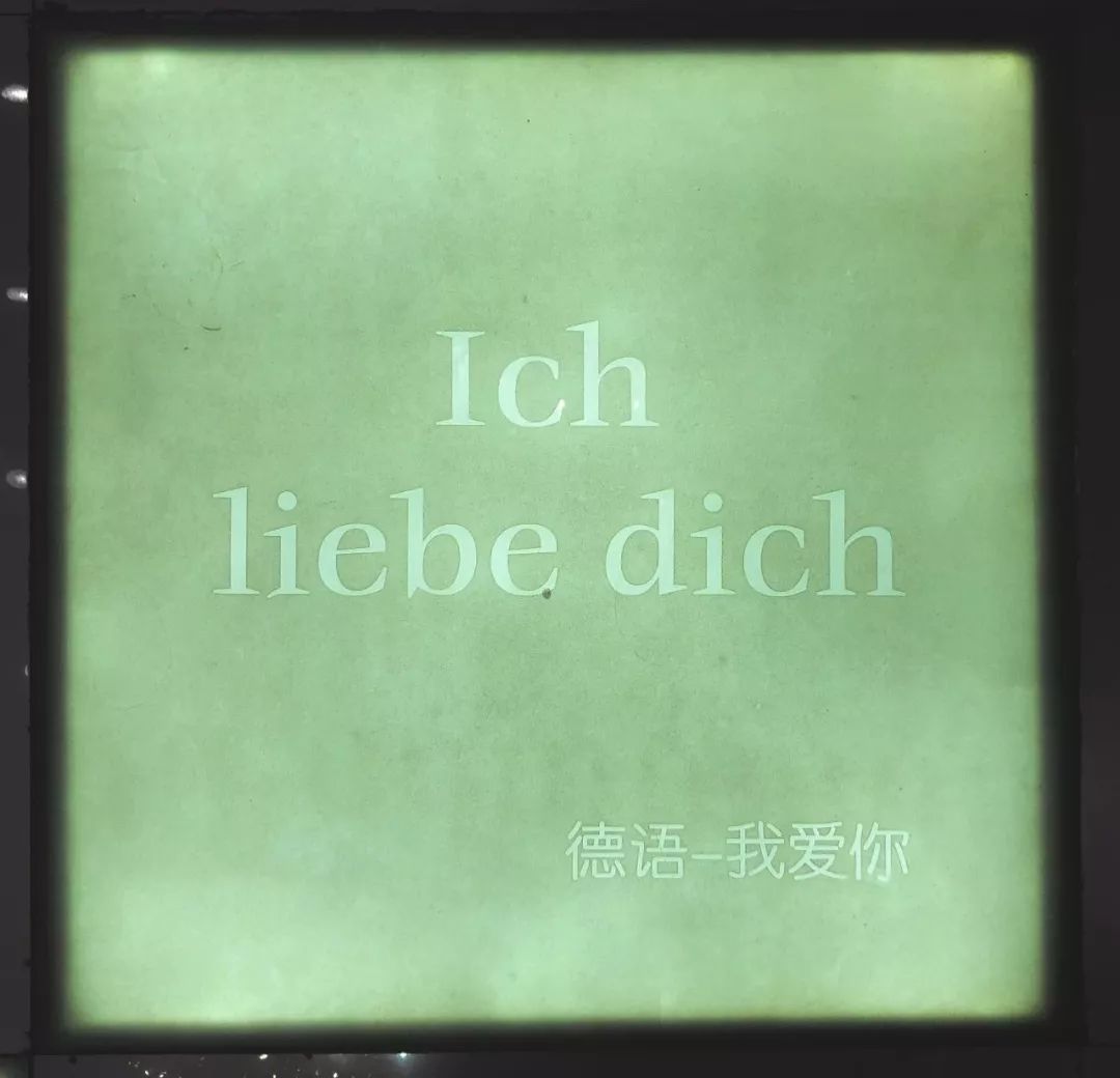 我们花了129元，住了一次情趣酒店···