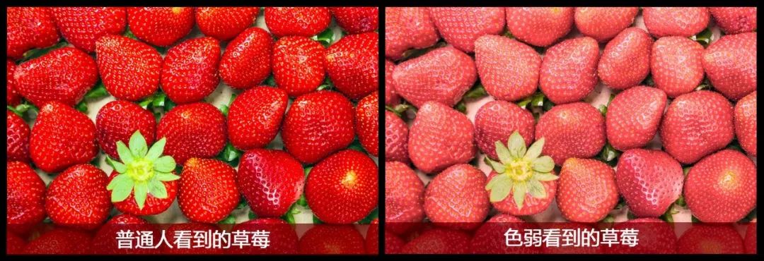 你说的红是什么样的红,你说的红