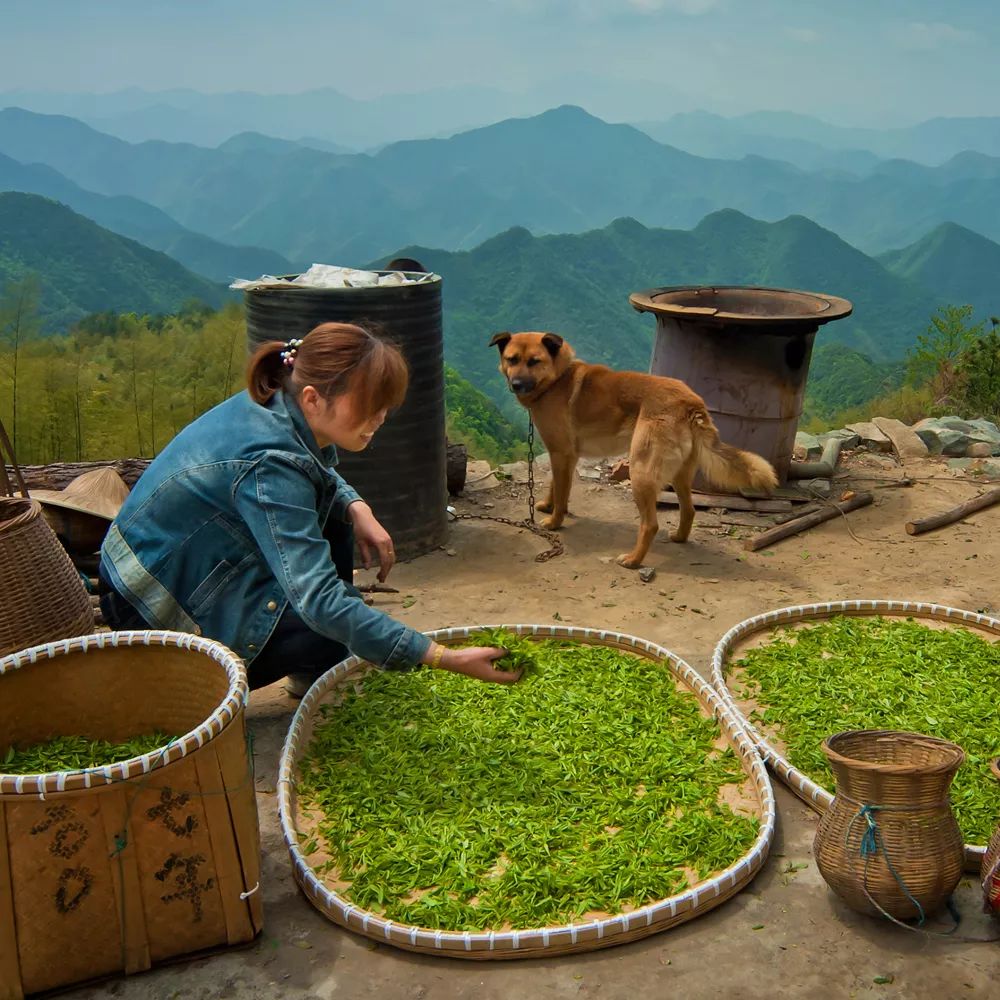 这里是里山！（内含福利）
