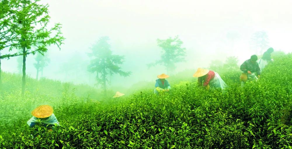 这里是里山！（内含福利）