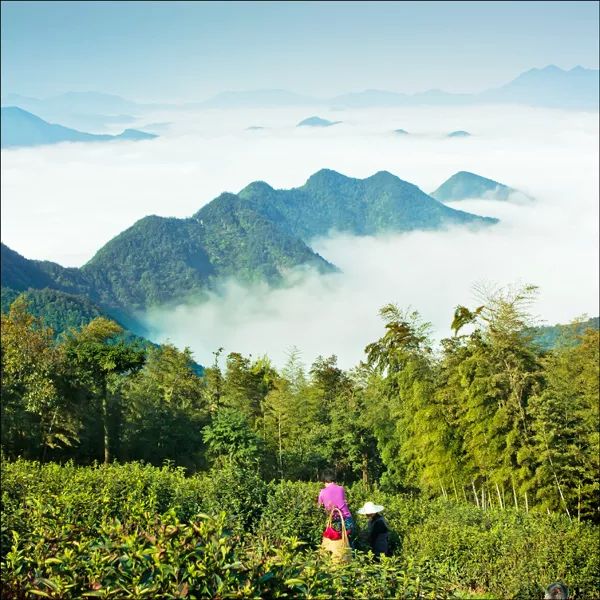 这里是里山！（内含福利）