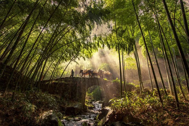 这里是里山！（内含福利）