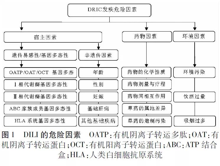 药物性胆汁淤积的发病机制及诊疗现状