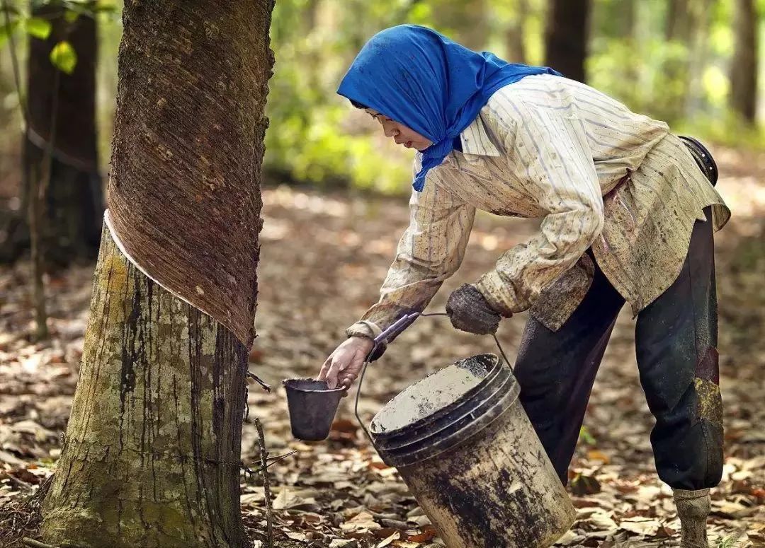 遇事沉着冷静是一种智慧,冷静是一种智慧
