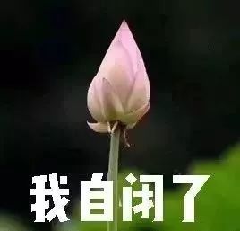 与男友共度这一夜后，24岁女孩差点……（附避孕科普）