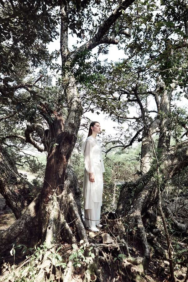 创牌之苦?设计的初心与梦想