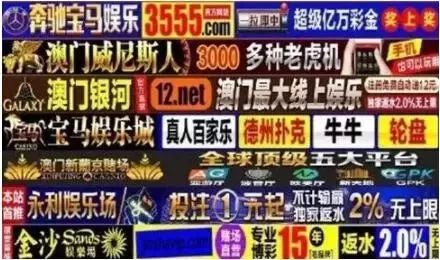 海南椰树集团品牌,椰树集团的品牌