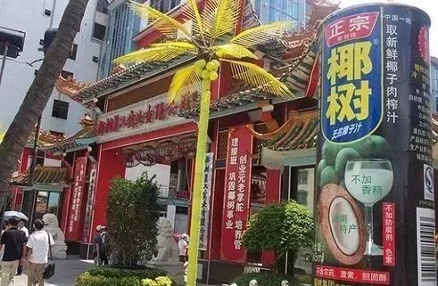 海南椰树集团品牌,椰树集团的品牌