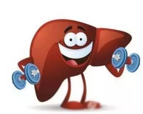 体检肝功能不合格怎么复查,体检肝功能不正常应该吃什么药