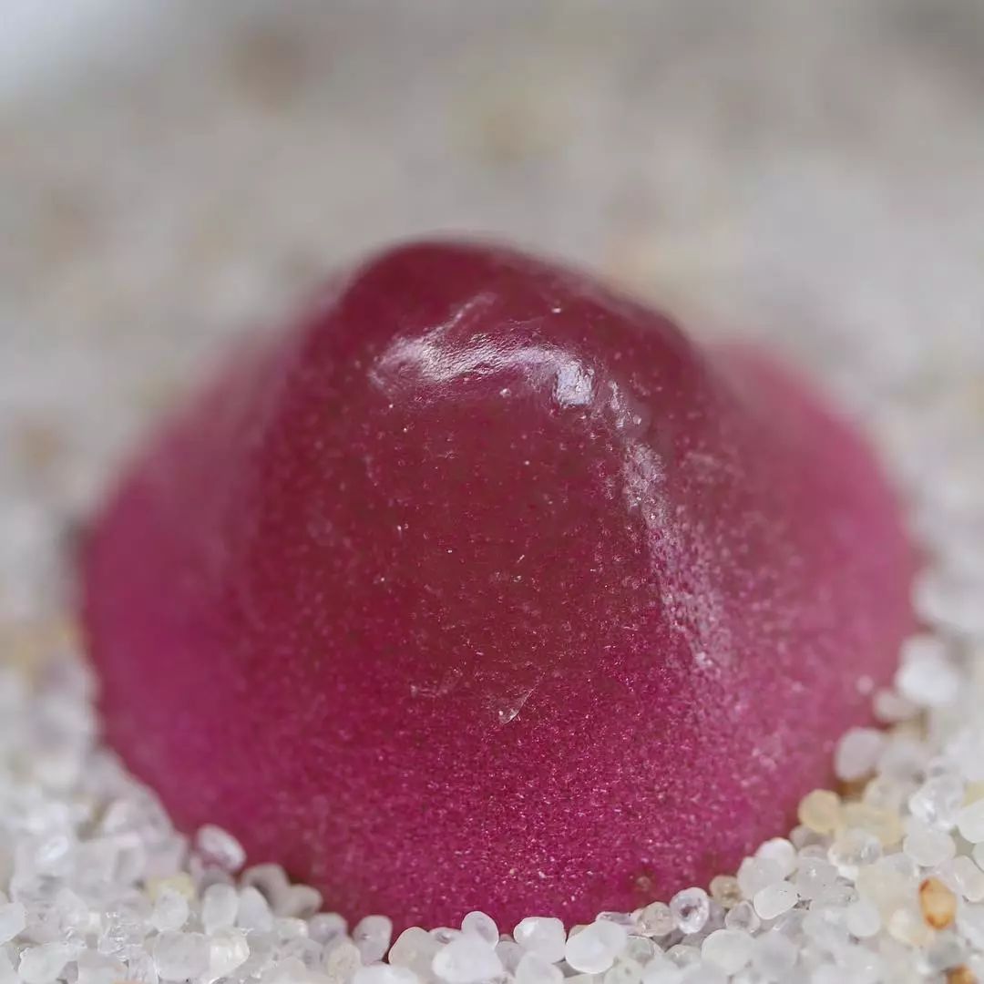 情人节趣味多肉,情人节多肉