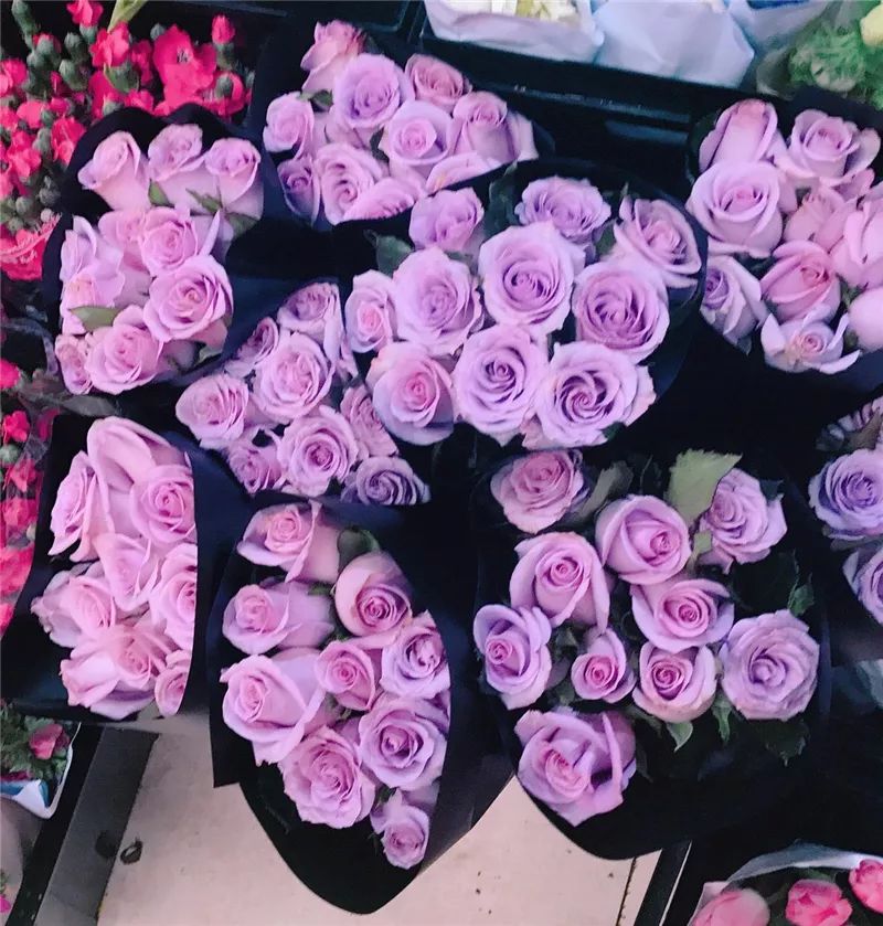 情人节浪漫仪式感玫瑰花,浪漫情人节甜蜜献礼