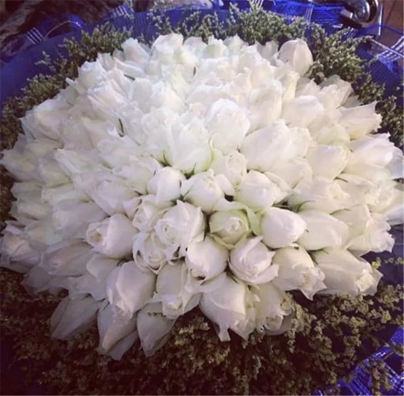 情人节浪漫仪式感玫瑰花,浪漫情人节甜蜜献礼