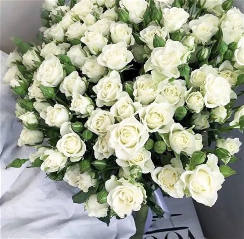 情人节浪漫仪式感玫瑰花,浪漫情人节甜蜜献礼