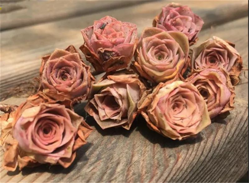 情人节浪漫仪式感玫瑰花,浪漫情人节甜蜜献礼