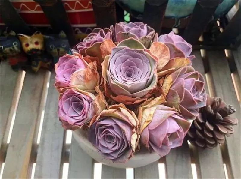 情人节浪漫仪式感玫瑰花,浪漫情人节甜蜜献礼