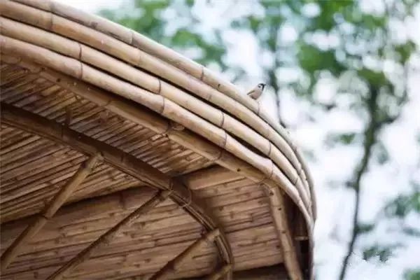 乡村改造方法盘点,全国美丽乡村改造案例