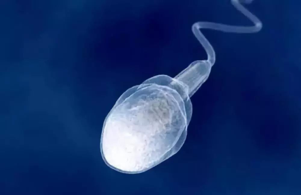 与男友同居6年导致终身不孕,与男友共度情人节后丧失生育能力