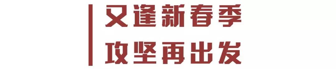 市级以上综合表彰奖励情况通报,关于年度受表彰情况的通报