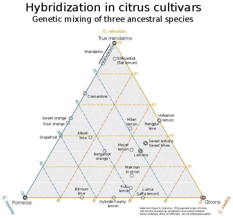 西柚又在3A4车厢霸座儿了？看看到底是成全了谁