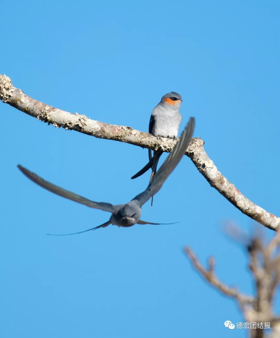镜语德宏,瑞丽市勐秀乡户瓦山
