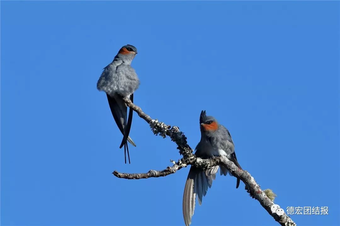 镜语德宏,瑞丽市勐秀乡户瓦山