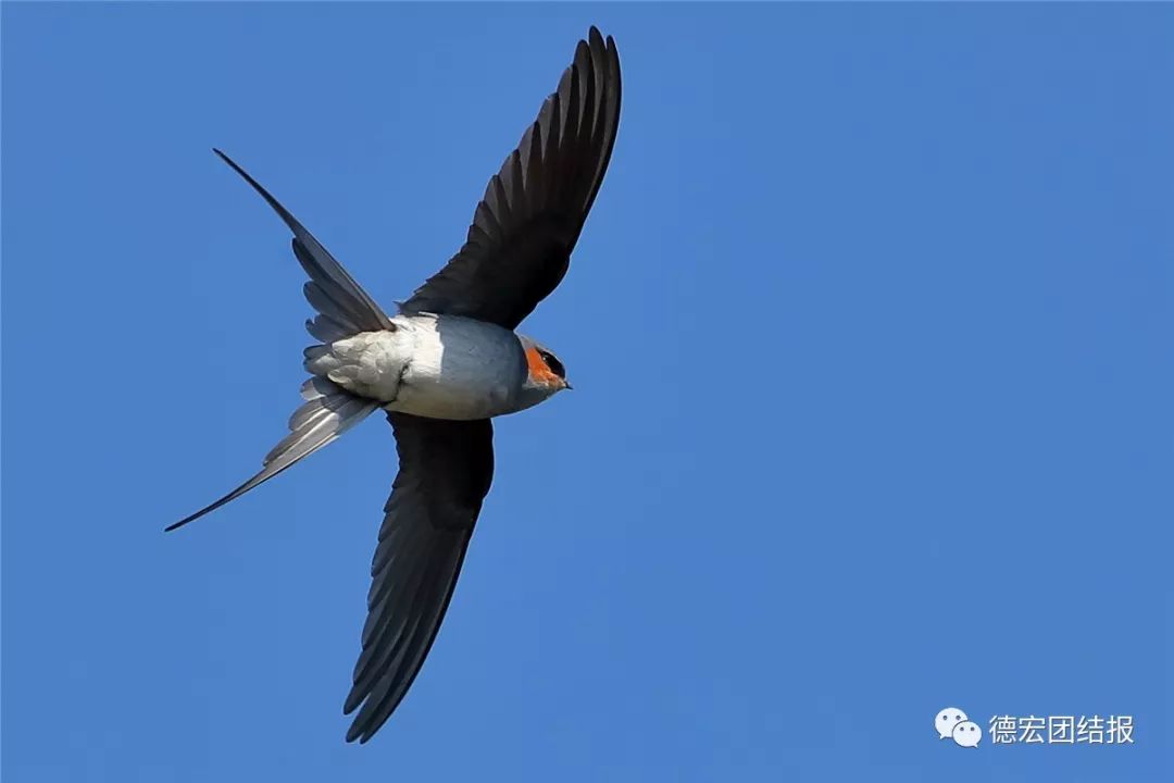 镜语德宏,瑞丽市勐秀乡户瓦山