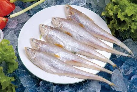 想象不到的人间美味,长江凤尾鱼,以后吃不到啦!