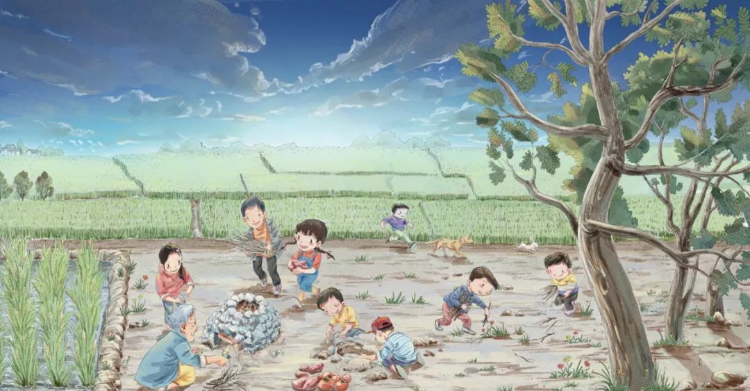 田野里的自然历史课读后感五年级,田野里的自然历史课pdf百度云