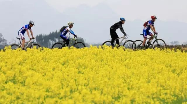 骑游线路精选,中国最美骑游路线