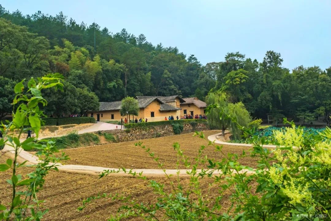 2780元起!空调专列纯玩港珠澳,全程0购物,万元大奖等你拿