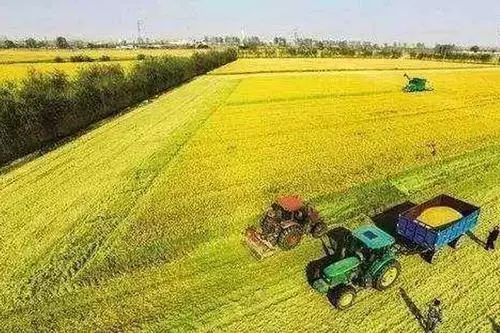 「改革开放中的今天」2002年2月15日,《河北日报》报道,全省首届修志任务已基本完成