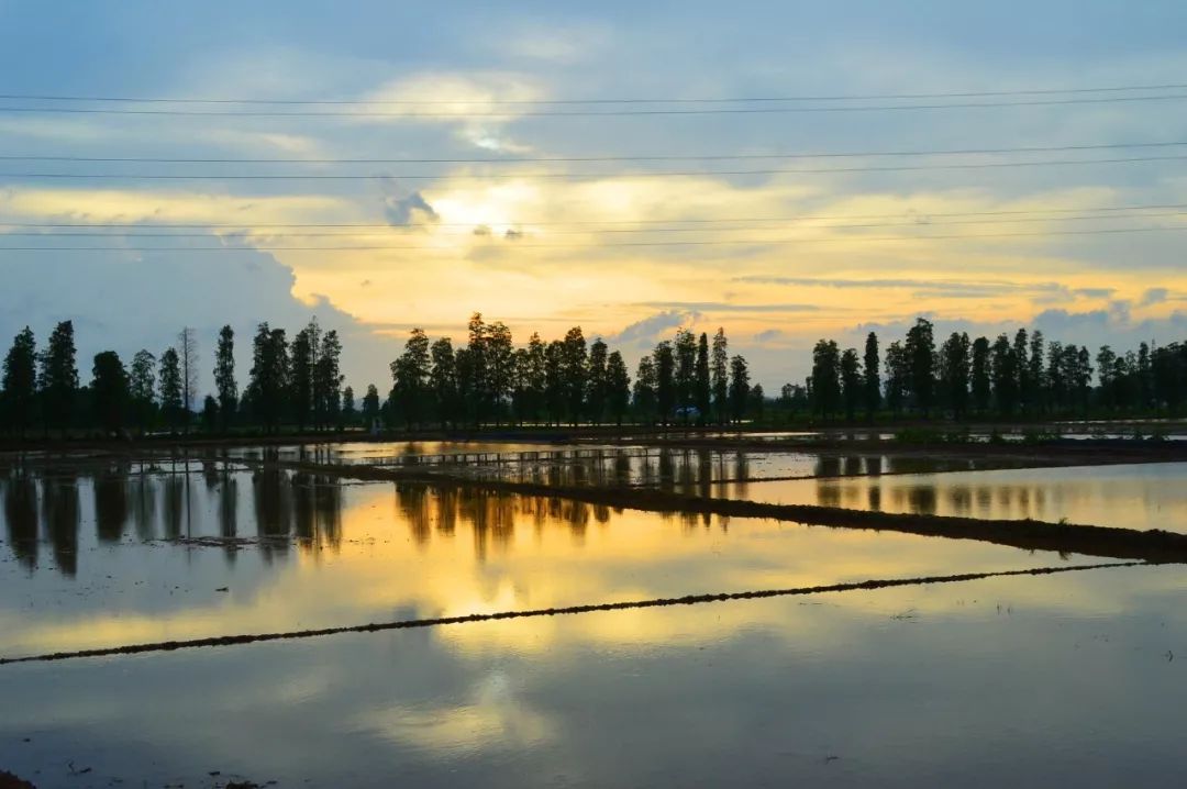 《论语》中的精华，只读一遍，受益终生