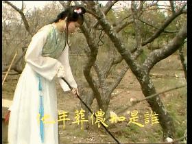 毛*东泽**眼中的《红楼梦》是怎样的一部书？