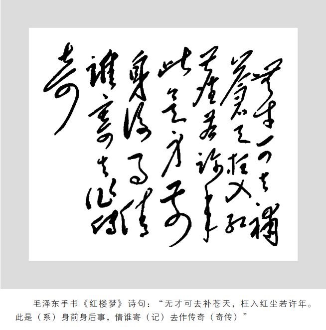 毛*东泽**眼中的《红楼梦》是怎样的一部书？