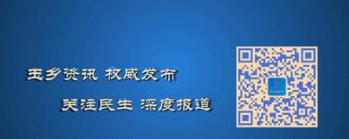 镇平市玉雕行业 (镇平县玉雕行业)