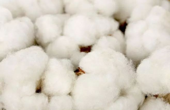 教你1招，棉花被不拆不洗不晾晒，立马干净又松软