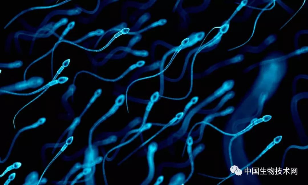 妇科医生优胜劣汰,女人优胜劣汰