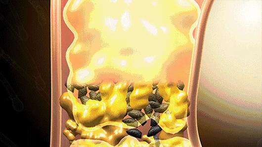 法国Lérane草本净螨贴，萃取天然植物，除螨更安心