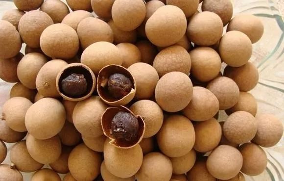 精力旺盛但是身体虚是什么情况,健康养生经常犯困没精神怎么解决