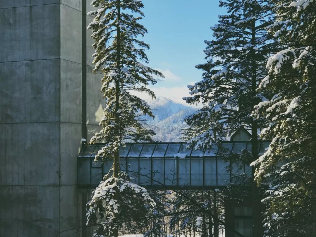 跟台湾小哥哥一起骑着雪地摩托车在北海道的雪地里野