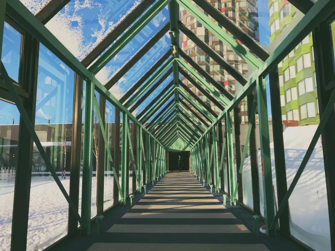 跟台湾小哥哥一起骑着雪地摩托车在北海道的雪地里野