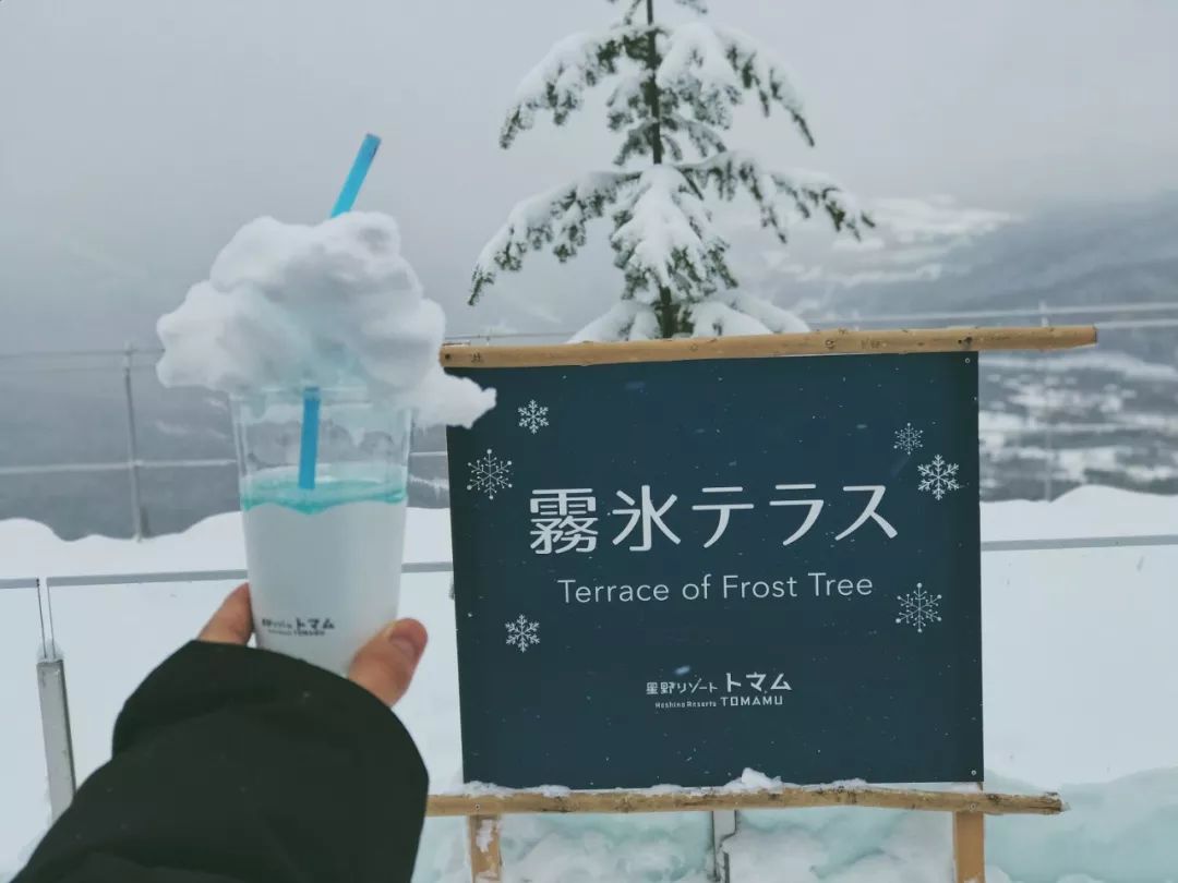 跟台湾小哥哥一起骑着雪地摩托车在北海道的雪地里野
