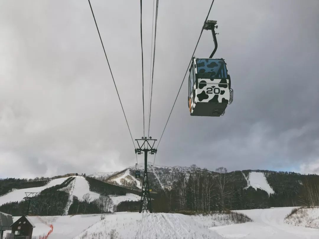 跟台湾小哥哥一起骑着雪地摩托车在北海道的雪地里野