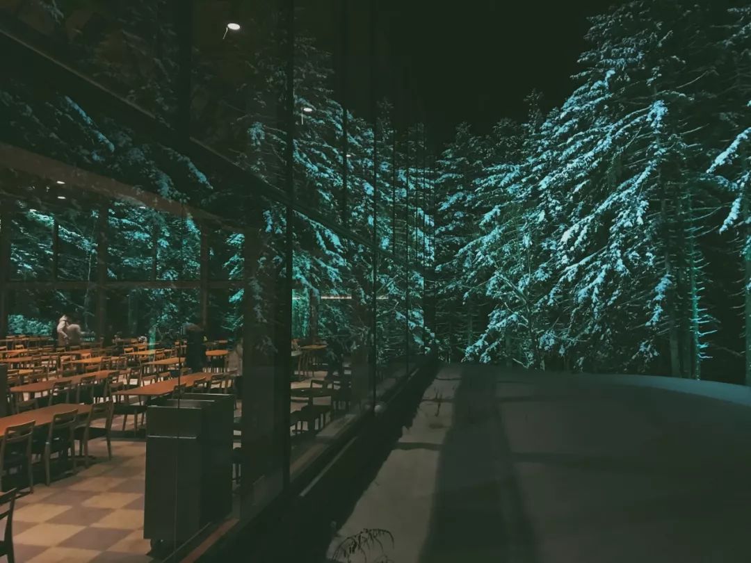 跟台湾小哥哥一起骑着雪地摩托车在北海道的雪地里野