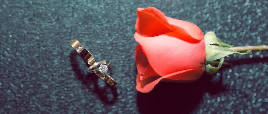 和三股东“偷偷结婚”被举报，二股东损失48亿？真相来了