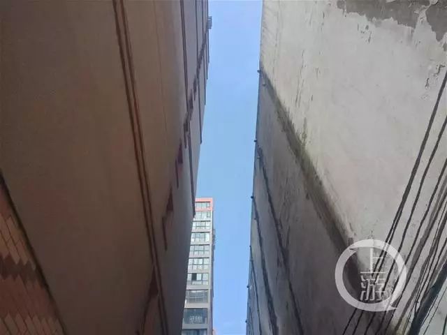 大一女生遭性侵后16楼坠亡!嫌凶驾车碾过尸体伪造交通事故