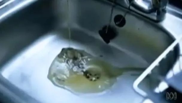 胆固醇妖魔化,不要妖魔化胆固醇