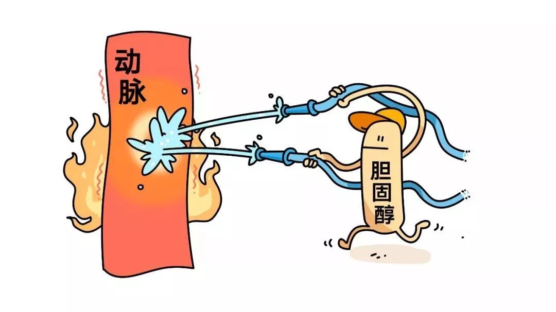 胆固醇妖魔化,不要妖魔化胆固醇